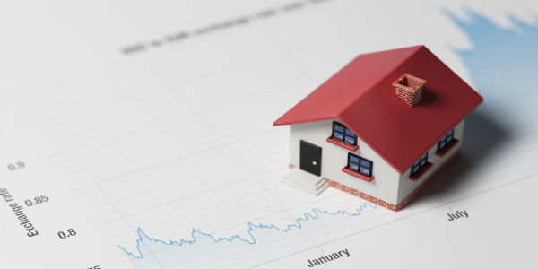 New home sales fall back in June New home sales fall back in June