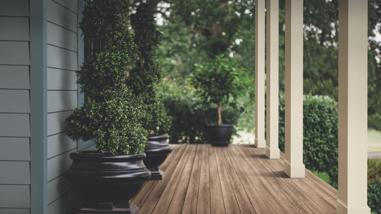 Product Picks: August 2019 Product Picks: August 2019