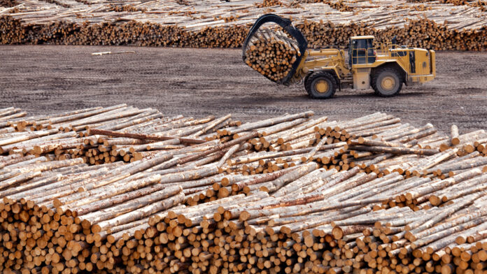 Weyerhaeuser tops list of U.S. lumber producers